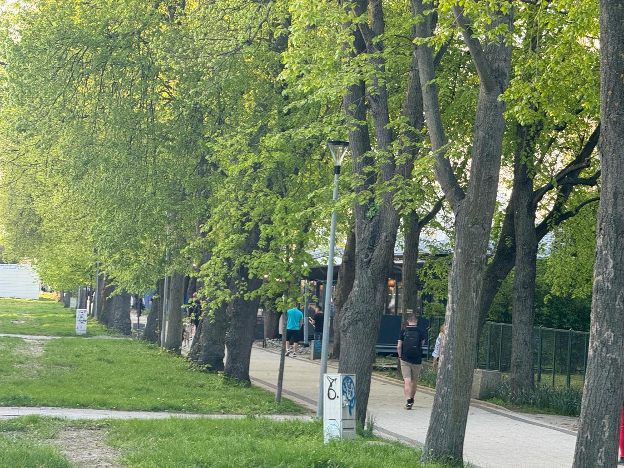 Zeromskiego 2024 Leilighet